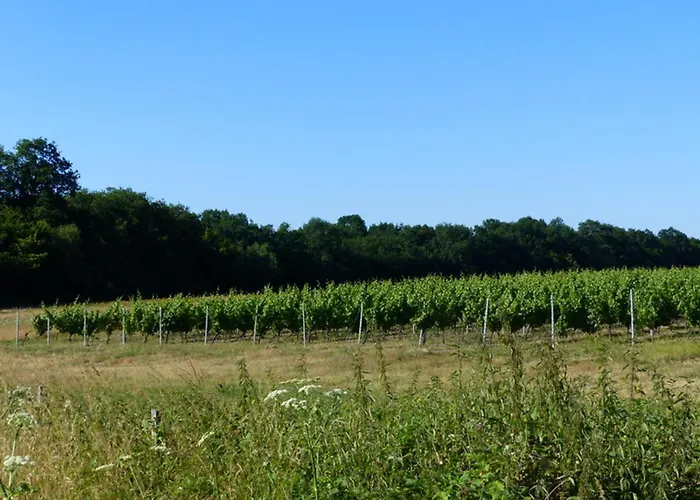 Au Clos Du Paradis Avec Terrasse Et Jardin, - Fr-1-489-235